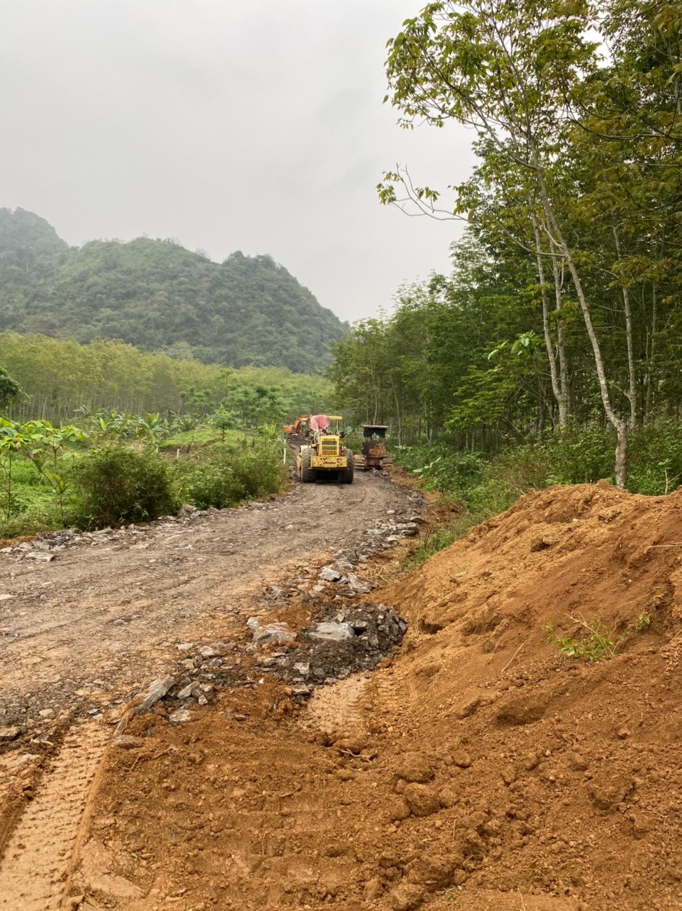 KHU CHĂN NUÔI LỢN GIỐNG & THƯƠNG PHẨM DABACO THANH HÓA